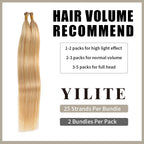 (#P27/613) Strawberry Blonde Bleach Blonde with Hair Volume Recommend 