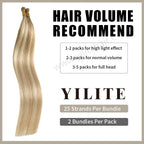 (#P18/613) Ash Blonde Highlights I Tip Extensions with Hair Volume Recommend 