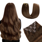Back View of Model Wearing (#6) Chestnut Brown Classic Clip Ins