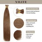 (#6) Chestnut Brown U Tip Hair Extensions with Italian Keratin Glue, 100% Virgin Hair, Healthy Ends