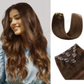 Model Wearing (#6) Chestnut Brown Classic Clip Ins