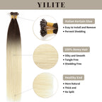 (#T2/60) U Tip Hair Extensions with Italian Keratin Glue,100% Virgin Hair, Healthy Ends